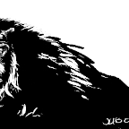 sidekickconcepts2WEB